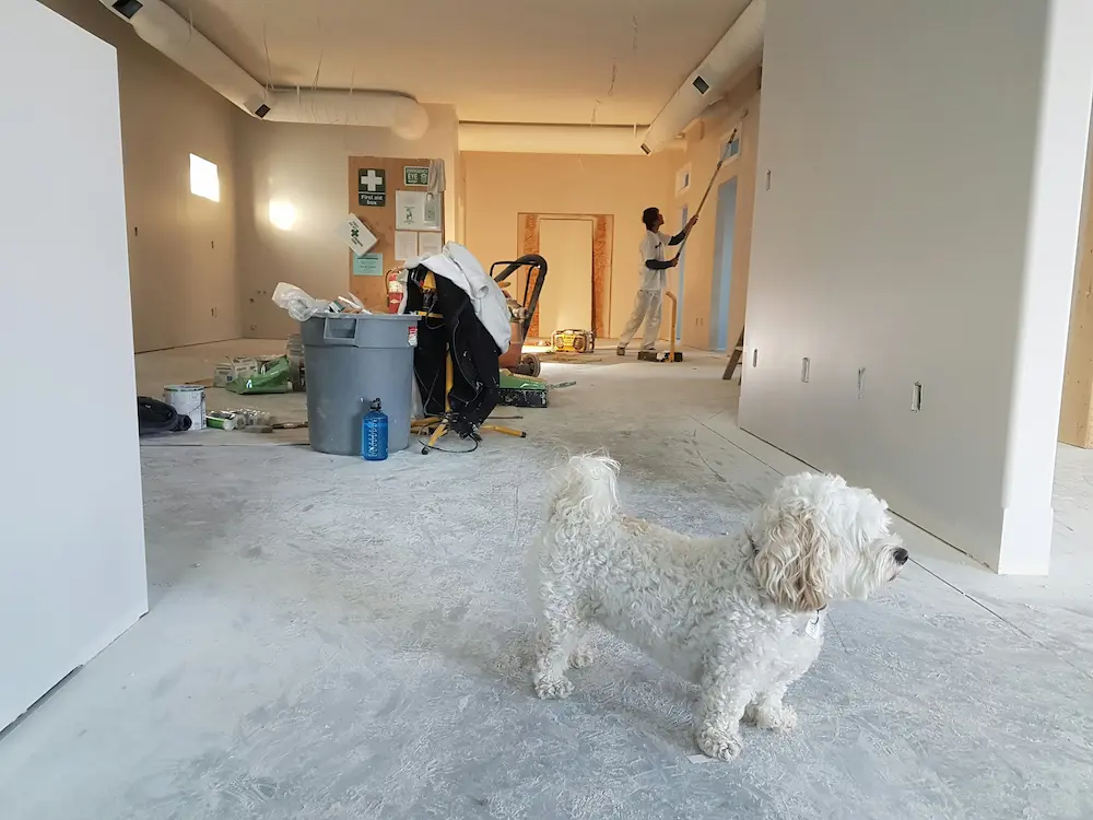 Drywall & Painting - Home Renovation Halifax