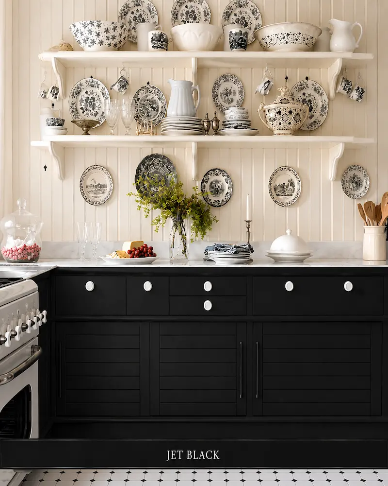 Kitchen Cabinet Design - Black color