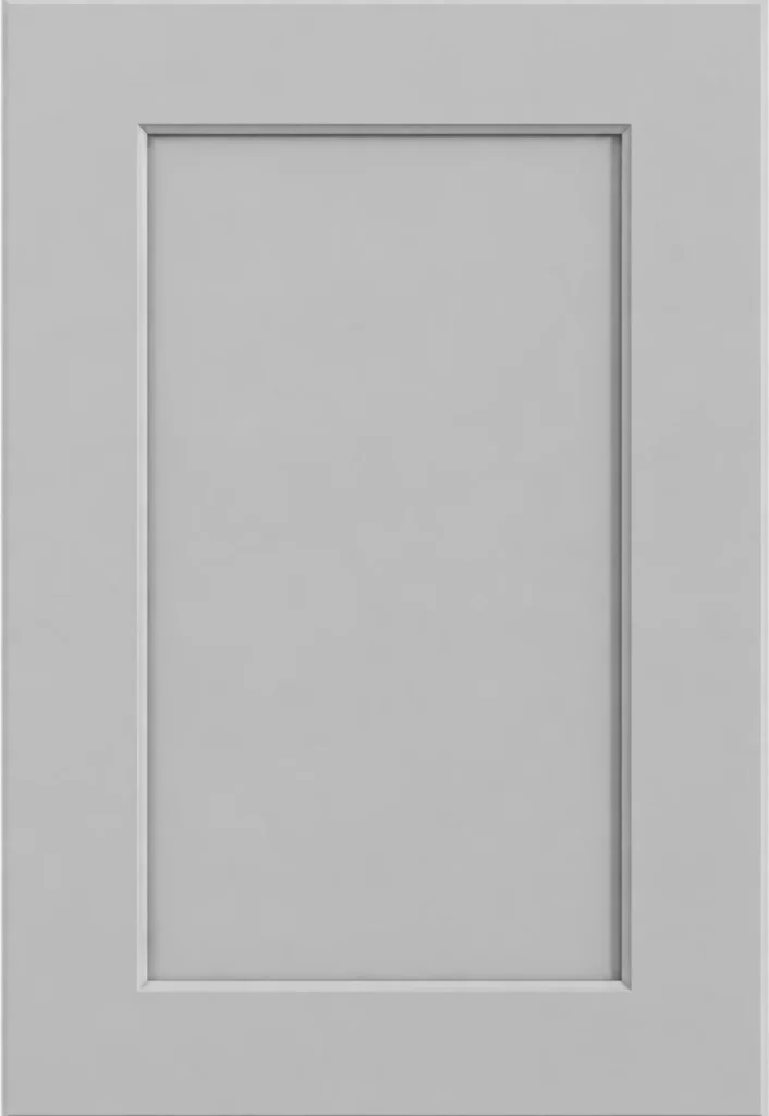 LIGHT GRAY COLOR