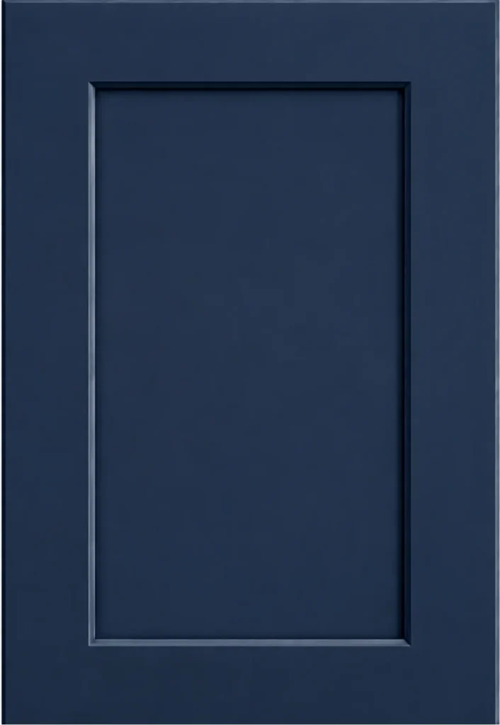 NAVY BLUE COLOR